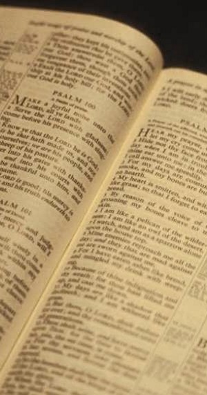 OpenBible narrow